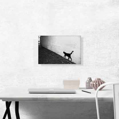 Black Graffiti Cat on White Wall
