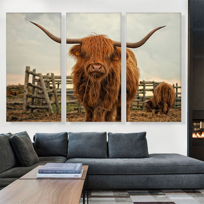 Highland Cow Cattle Stable