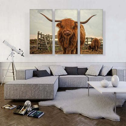 Highland Cow Cattle Stable
