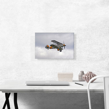 Old Vintage Fighter Plane Flying