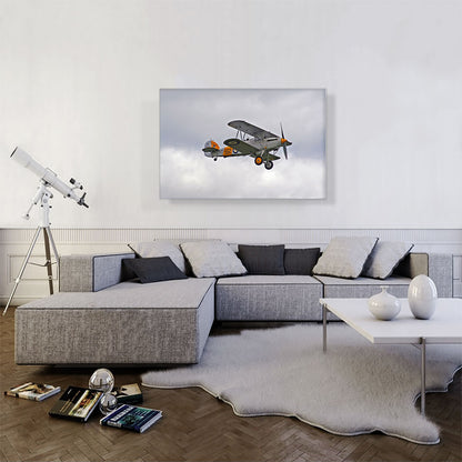 Old Vintage Fighter Plane Flying