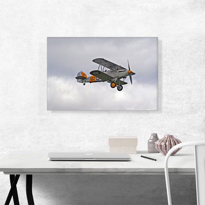 Old Vintage Fighter Plane Flying