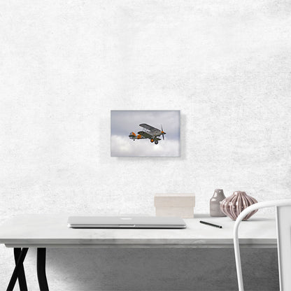 Old Vintage Fighter Plane Flying