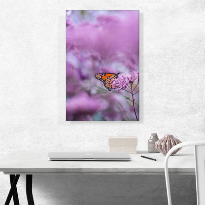 Orange Butterfly on Pink Flower