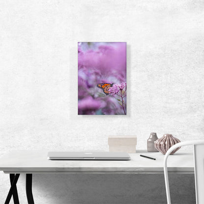 Orange Butterfly on Pink Flower