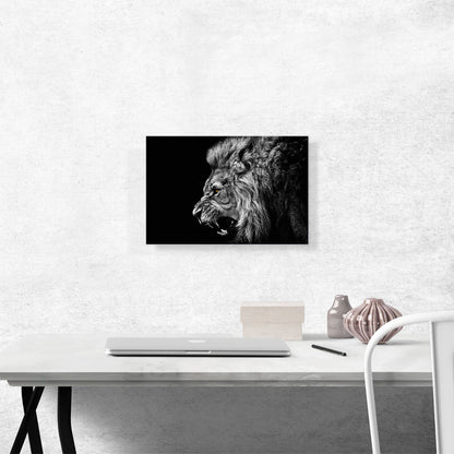 Roaring Lion Black and White
