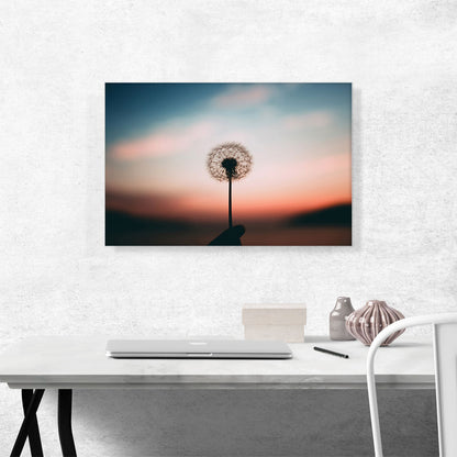 Single Dandelion in a Sunset