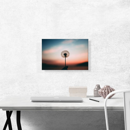 Single Dandelion in a Sunset