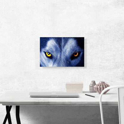 Soul of Wolf Blue Eyes