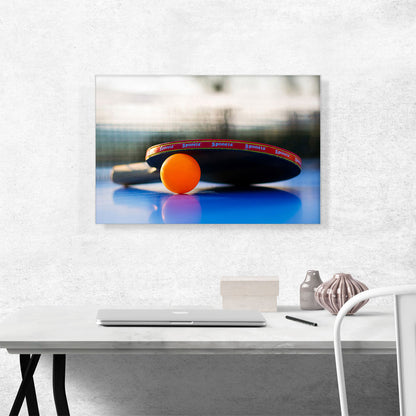 Table Tennis Orange Ping Pong Ball Racket