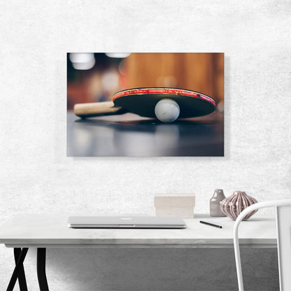 Table Tennis Ping Pong Ball Racket