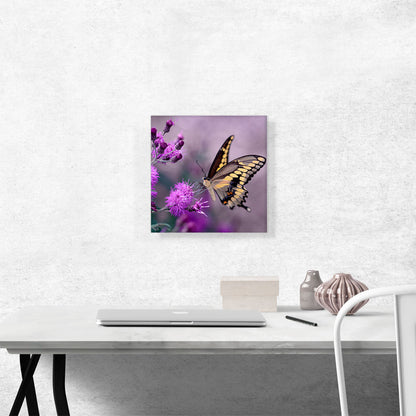 Tiger Butterfly in Purple Flower