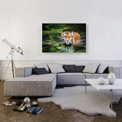 Tiger Swimming in Swamp