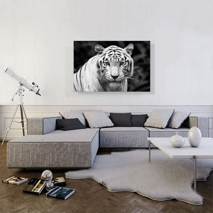 White Tiger Staring Blue Eyes Pop