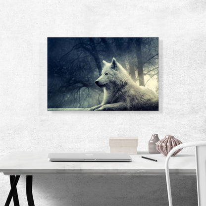 White Wolf in Forest