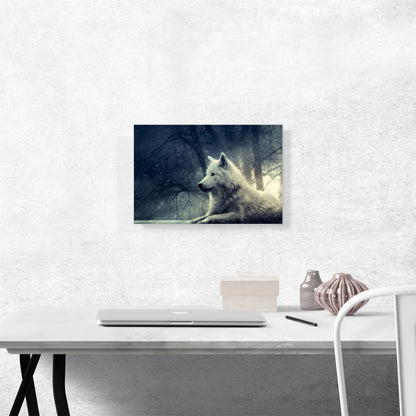 White Wolf in Forest