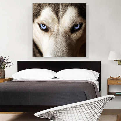 Wolf on Cliff Observing Mountain Landscape