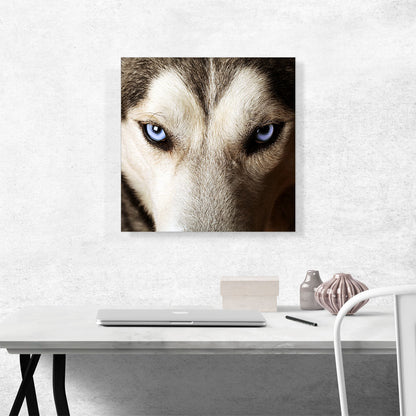 Wolf on Cliff Observing Mountain Landscape