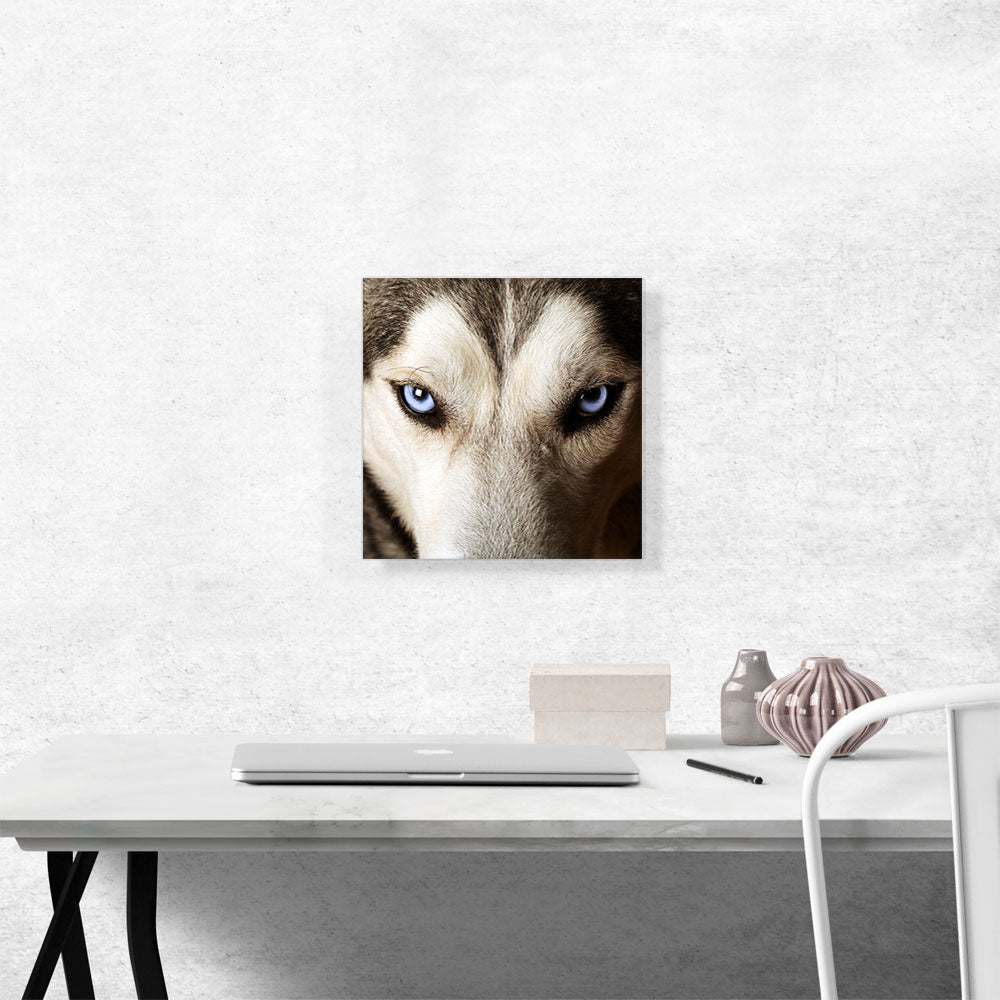 Wolf on Cliff Observing Mountain Landscape