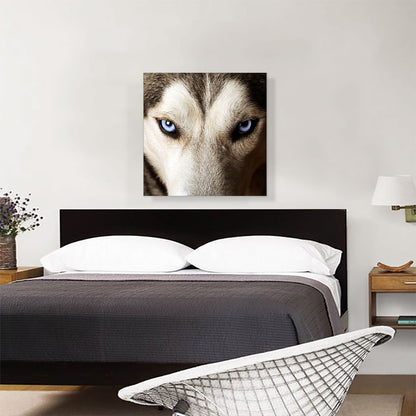 Wolf on Cliff Observing Mountain Landscape
