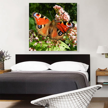 Butterfly Home decor