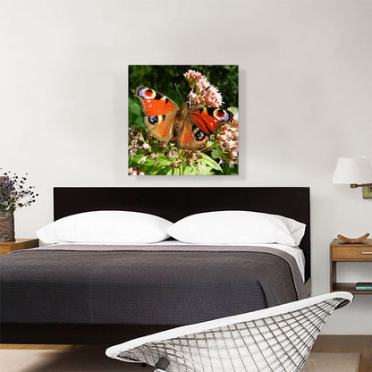 Butterfly Home decor