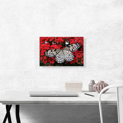Malabar Butterfly on Red Flowers Home decor