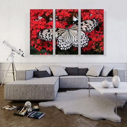 Malabar Butterfly on Red Flowers Home decor