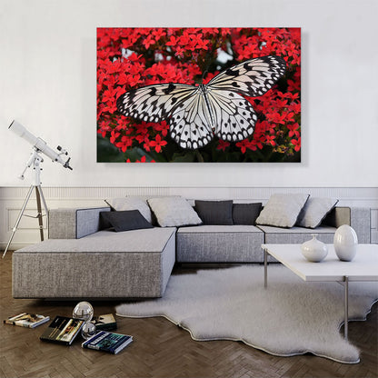 Malabar Butterfly on Red Flowers Home decor