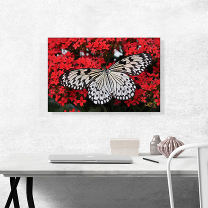 Malabar Butterfly on Red Flowers Home decor