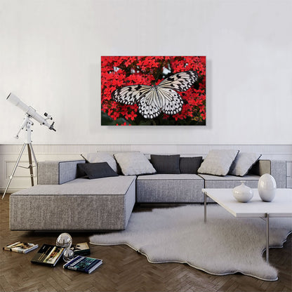 Malabar Butterfly on Red Flowers Home decor