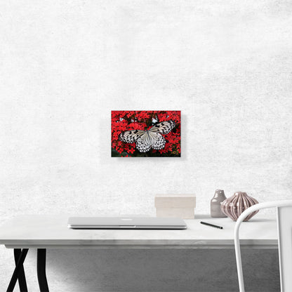 Malabar Butterfly on Red Flowers Home decor