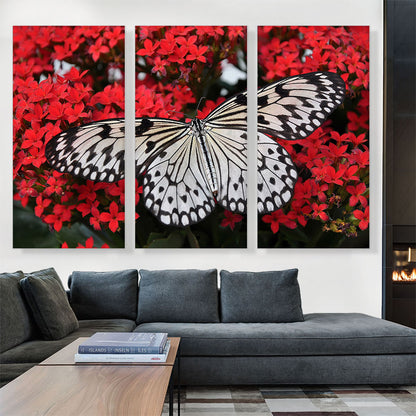 Malabar Butterfly on Red Flowers Home decor