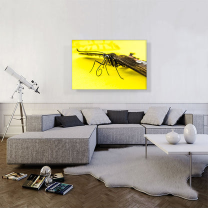 Butterfly on Yellow Flower Home decor