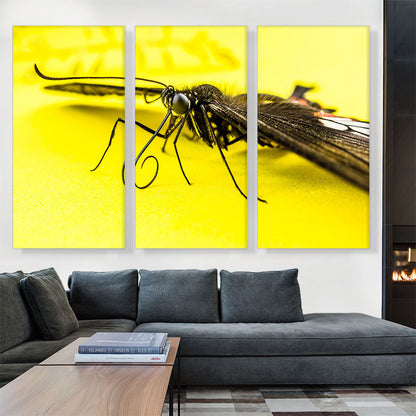 Butterfly on Yellow Flower Home decor