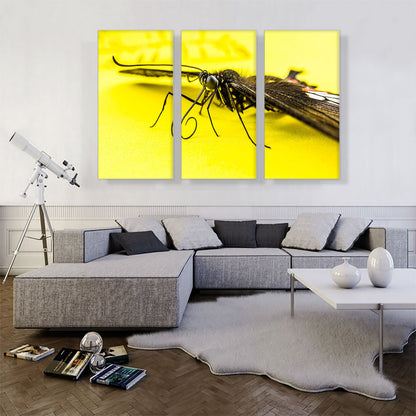 Butterfly on Yellow Flower Home decor
