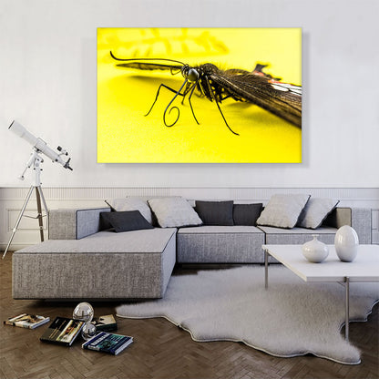 Butterfly on Yellow Flower Home decor