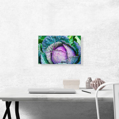 Cabbage Restaurant decor