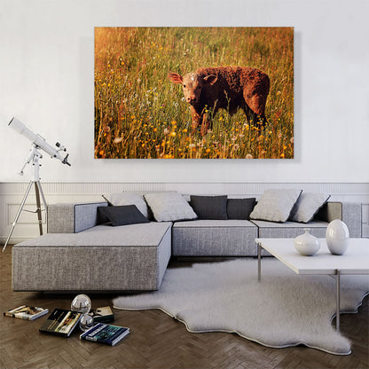 Calf In Field Home decor