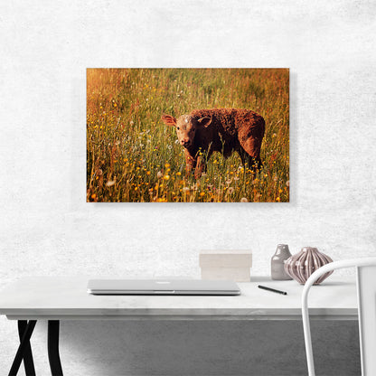 Calf In Field Home decor