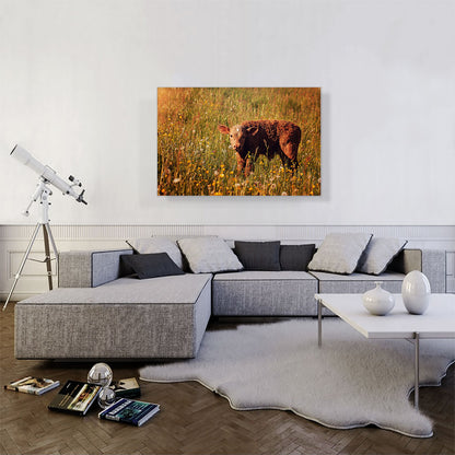 Calf In Field Home decor