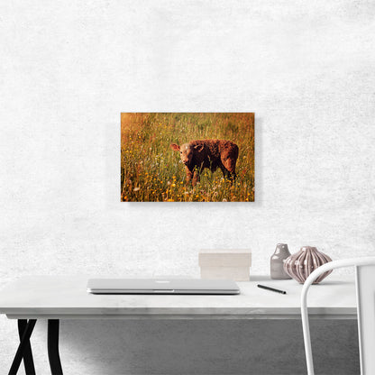 Calf In Field Home decor