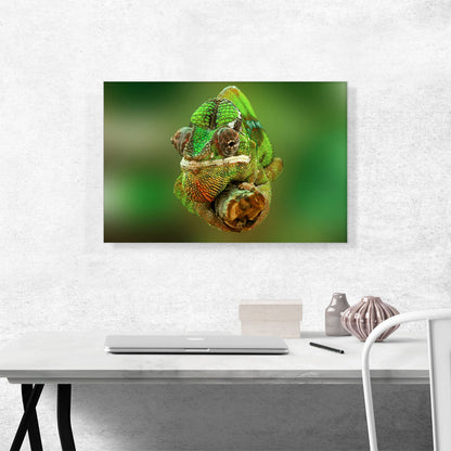 Chameleon Home decor