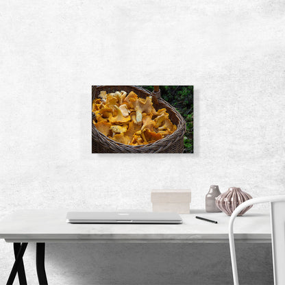 Chanterelle Mushrooms Restaurant decor