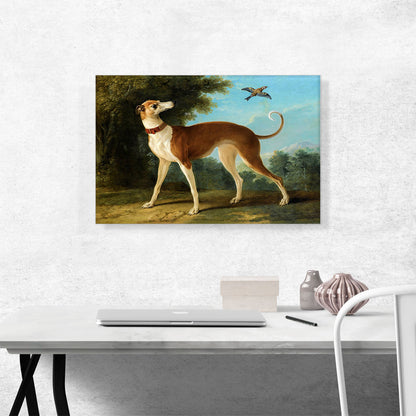 Greyhound In a Landscape 1746