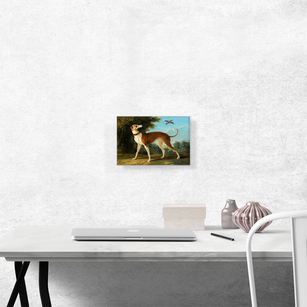 Greyhound In a Landscape 1746