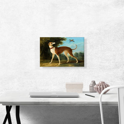 Greyhound In a Landscape 1746