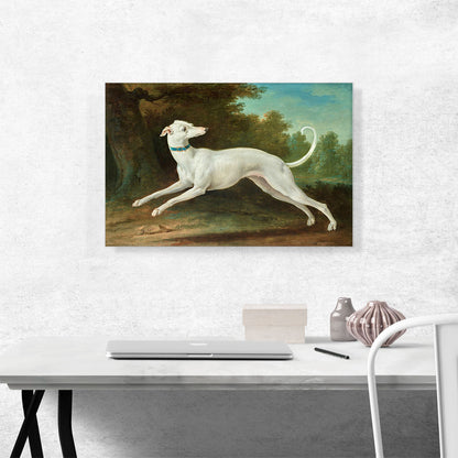 White Greyhound 1748