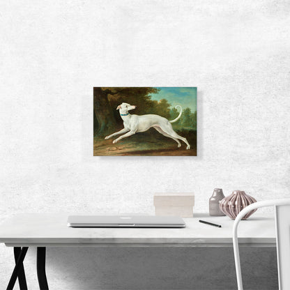 White Greyhound 1748