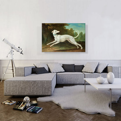 White Greyhound 1748
